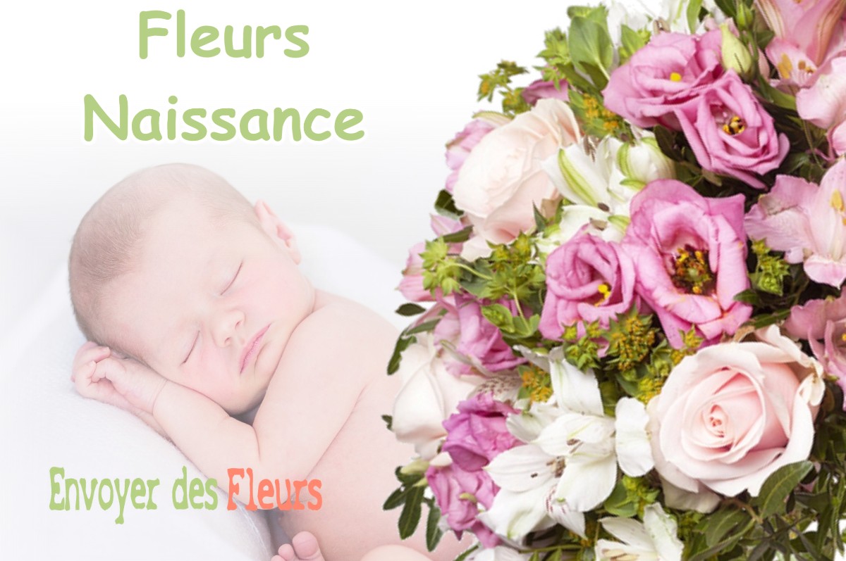 lIVRAISON FLEURS NAISSANCE à SAINT-CLAR-DE-RIVIERE